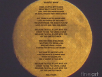 Harvest Moon Lovers