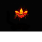 Lortex Group