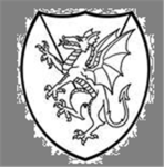 The Elite Dragon Army
