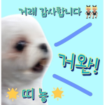 띠노미 그룹