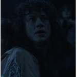 The Stanger Things Fan Group