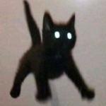 ~ GalaxyKitty ~