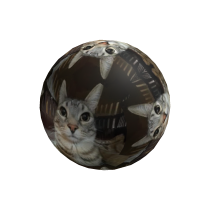 Zazu Cat Sphere jacket thumbnail