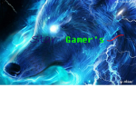 Star Gamer's