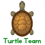 Turtle Team™