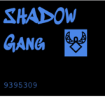 Gang of the shadows