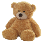 the teddy clan of teds