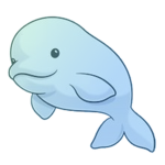 Beluga Staff