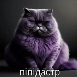 Пипидастр обби