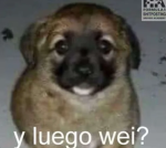 588