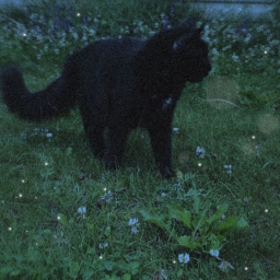 I