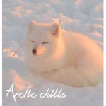 Arctic Chills