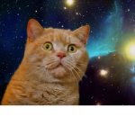Space Kat Imperium
