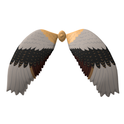 Crane Bird Wings