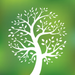 Green Trees :D