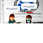 Kara's Bloxburg Hospital