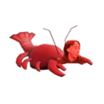 Lobster Chopped Chin