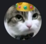 this is not worth 100 robux