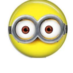The Minion union