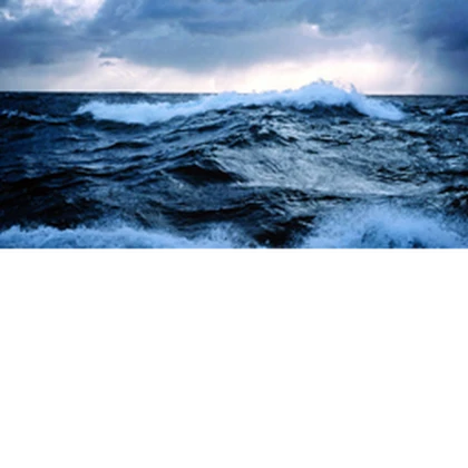 ferocious sea Roblox group icon