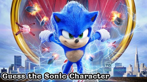 Guess the Sonic Character!