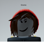 Gnome army