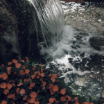 Waterfall waves