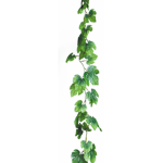 - Vine Tale -