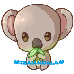 ❤🐨Team_koala🐨❤