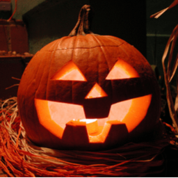 Halloween Fun