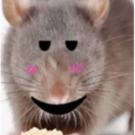 The Aesthetic Ratss