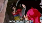 Aldea shinobi