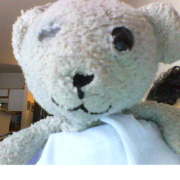 Teddie's Place