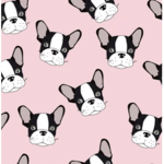 Frenchies and French