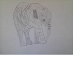 The elephant team