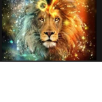 The Leos SkyYt