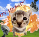dandysworldsweats