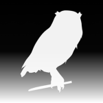 Strix & Co.