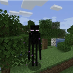 Enderman boy