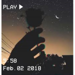 Blackcats_oftheworld