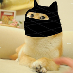 Da Doge Ninjaz