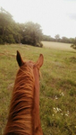 -THE PREPPY RIDERS-