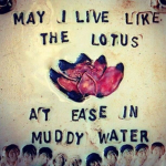 Freedom & Ease