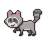 #RACOON#