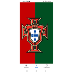 PORTUGAL FOOTBALL CLUB SUI