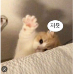 •공주 그룹•