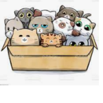 Team_Feline