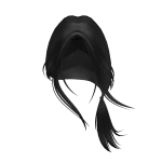 Pal Hair Roblox NoFilter