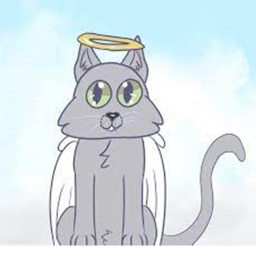 my cat Marty