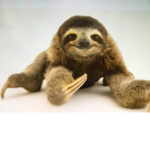SLOTH BLOX